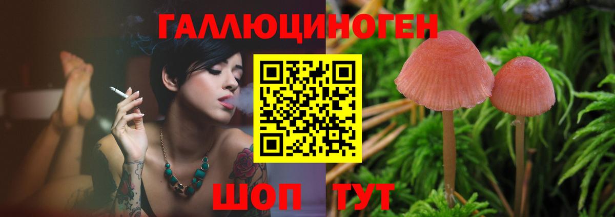 Кемерово  Псилоцибиновые грибы Psilocybe  Вход с VPN 